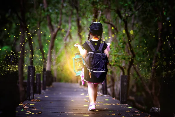 Seorang Gadis Kecil Memegang Lampu Berjalan Jembatan Kayu Hutan Rawa — Stok Foto