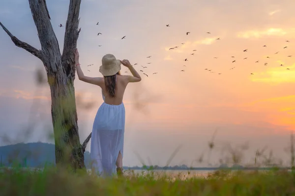 Ankleidefrau Genießt Vogelschwarm Der Bei Sonnenuntergang Über Den See Fliegt — Stockfoto