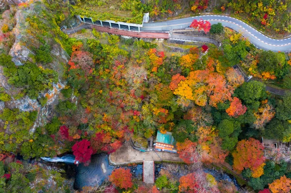 Повітряний Вид Зміну Сезону Японії Вода Парку Мінух Падає Знамените — стокове фото
