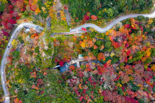 Luftaufnahme Des Herbstes Ansicht Der Saisonwechsel Japan Land Minooh Park — Stockfoto