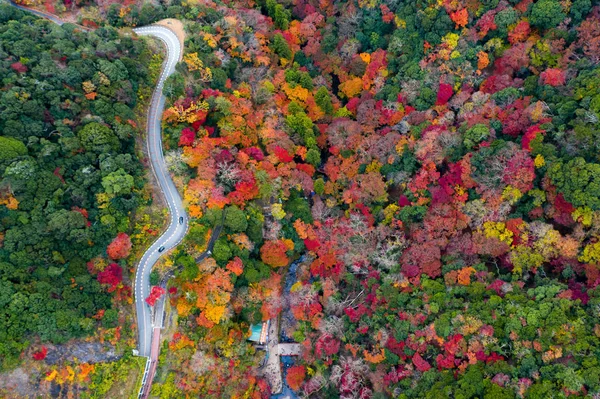 Вид Воздуха Пейзаж Осенний Вид Смену Сезона Японии Миноох Парк — стоковое фото