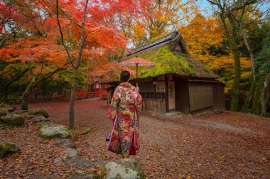 Japonya 'nın Osaka kentinde mevsim sonbaharı, kulübenin önündeki vahşi ormanda duran bir kadın, Japonya' ya gelen spor müsabakalarında seyahat ve ziyaret ediyor.