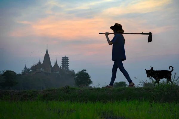 Silhouette Passeggiate Contadino Portare Zappa Fiels Riso Mattino Presto Vivere — Foto Stock