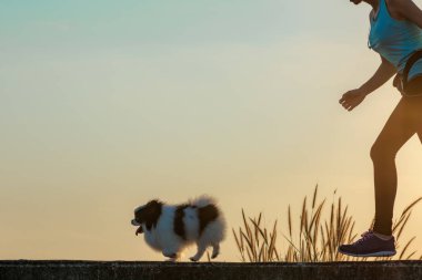 Mutlu köpek yavrusu sabahın köründe ev sahibiyle egzersiz yapıyor.