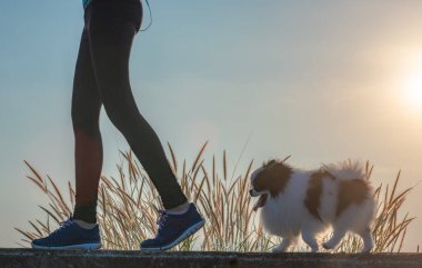 Mutlu köpek yavrularının kadın sahipleri Sabah Işığı caddesinde birlikte koşuyorlar.