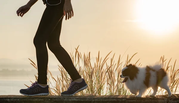 Mutlu köpek yavrularının kadın sahiplerinin bacakları. Sabah sabah sabah spor yapıyorlar.