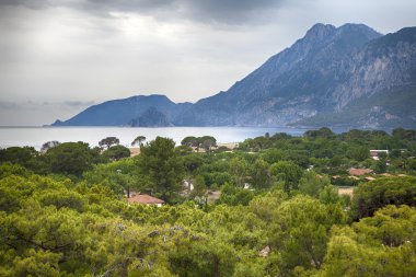 Çam ağaçları ile Çıralı görünümü