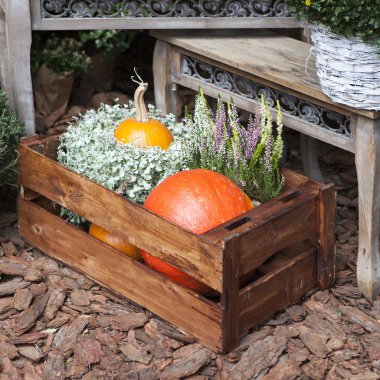 kır evinde düşmek.