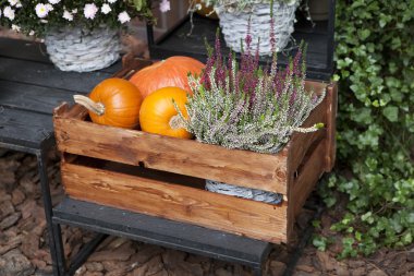 kır evinde düşmek.