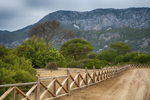 Vista circular con pinos — Foto de Stock