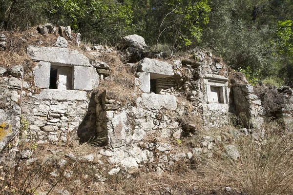 Olympos Örenyeri Ciral Turkeyi yakınındaki yedekte lahit — Stok fotoğraf