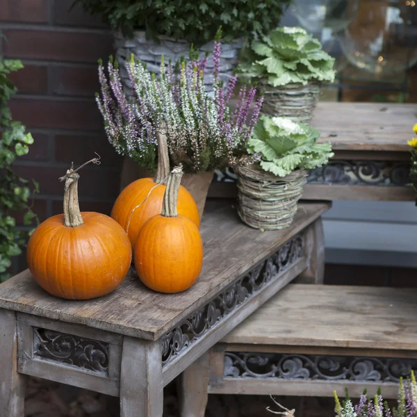Fall at country house. — Stock Photo, Image