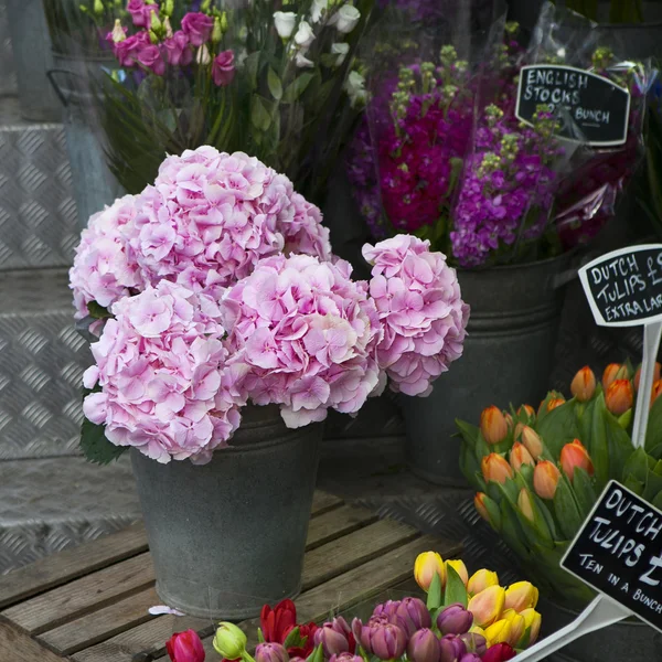 ไฮเดรนเยียสีชมพูในกระป๋องบนกล่องไม้ใกล้ร้านดอกไม้ — ภาพถ่ายสต็อก