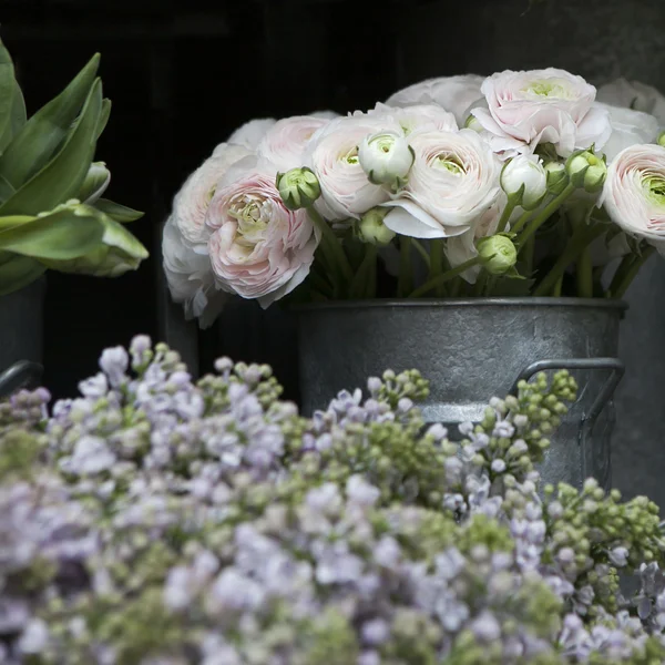 화이트 라의 꽃다발 — 스톡 사진