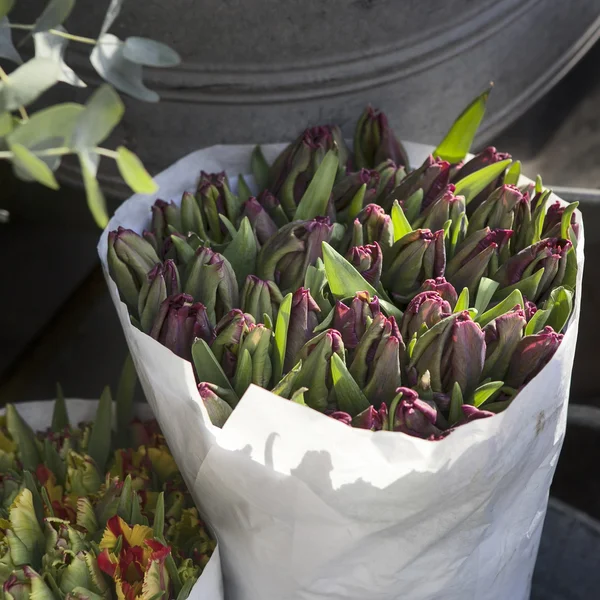 Tulipanes sin soplar en bolsas de papel para la venta en cubos de aluminio junto a la florería —  Fotos de Stock