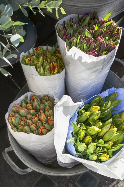 Unblown tulips in paper bags for sale in aluminum buckets next to the flower shop — Stock Photo, Image