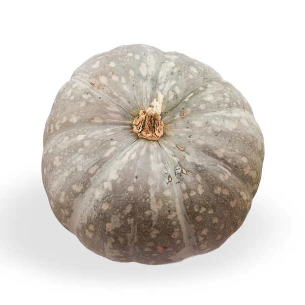 Overripe pumpkin isolated on white background — Stock Photo, Image