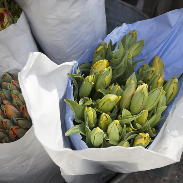 Tulipes non soufflées dans des sacs en papier à vendre dans des seaux en aluminium à côté de la boutique de fleurs — Photo