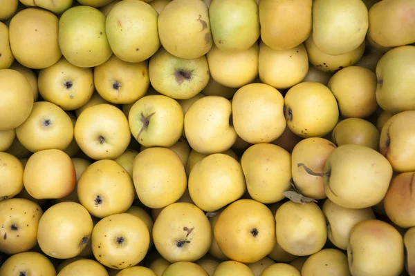 Fundo amarelo da maçã, profundidade rasa do campo . — Fotografia de Stock
