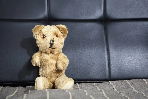 Old vintage teddy-bear sitting on sofa — Stock Photo, Image