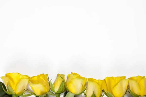 Cornice bianca con rosa gialla su sfondo bianco — Foto Stock