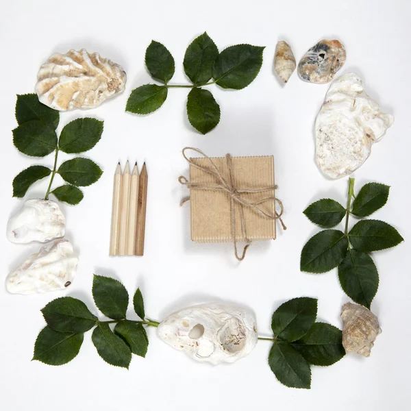Rahmen aus den Blättern von Rosen und Muscheln auf weißem Hintergrund — Stockfoto