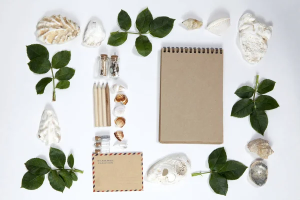 Rahmen aus den Blättern von Rosen und Muscheln auf weißem Hintergrund — Stockfoto