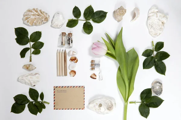 Frame from the leaves of roses and shells on white background. Memory of summer