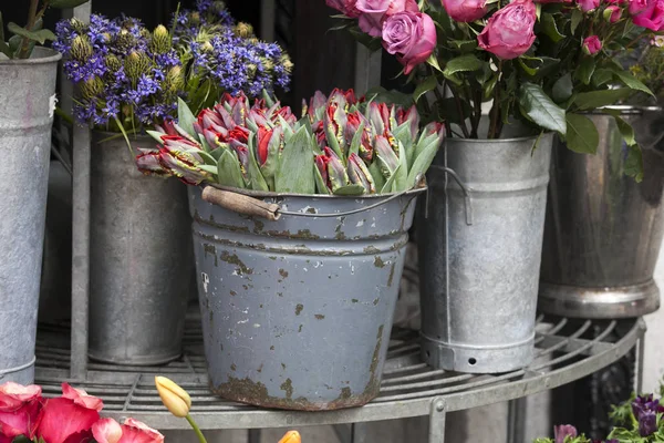 Tavaszi tulipán virágok bucket shop közelében — Stock Fotó