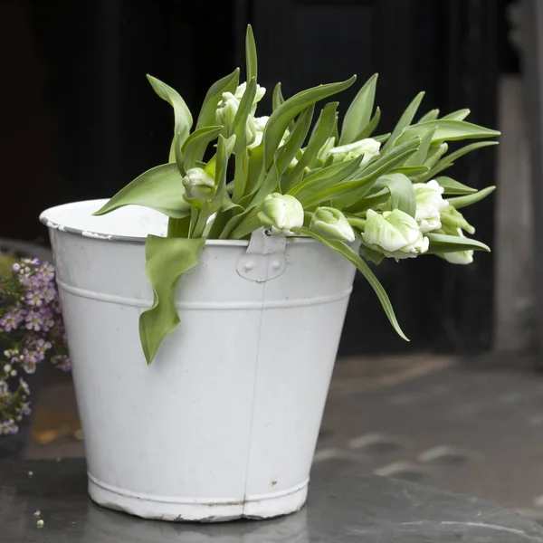 Białe tulipany, bukiet w koszyku stanąć na metalowego stołu, w pobliżu sklep — Zdjęcie stockowe