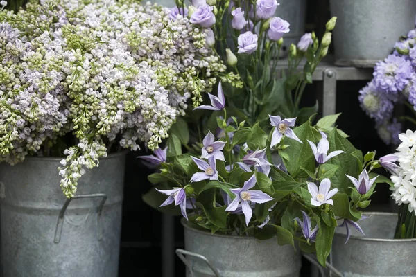 A Buquês de lilás, sinos e narcisos estão em baldes para venda — Fotografia de Stock