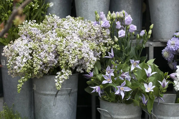 淡紫色的花束，响铃是在桶里 — 图库照片