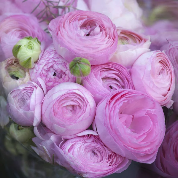 판매를 위한 핑크 미나리 아재비과의 꽃다발 — 스톡 사진