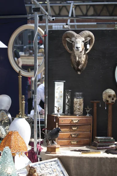 Calaveras de artiodáctilos con cuernos y otras cosas en el mercado de Spitalfilds — Foto de Stock