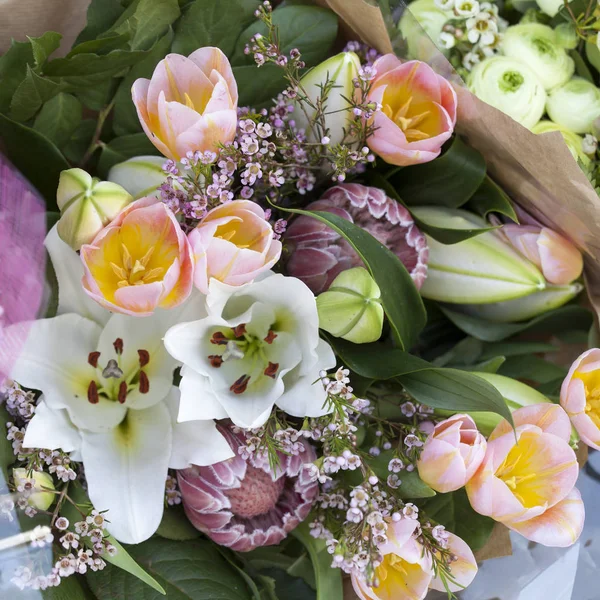 Bukiet pąki lilii, różowe tulipany i protea — Zdjęcie stockowe