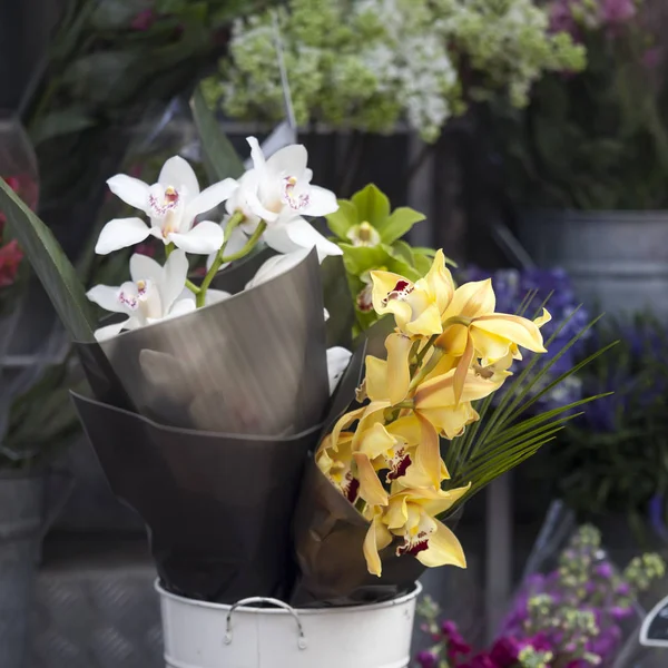 Las orquídeas Amarillas, blancas y verdes en el cubo blanco para la venta a la entrada de la tienda —  Fotos de Stock