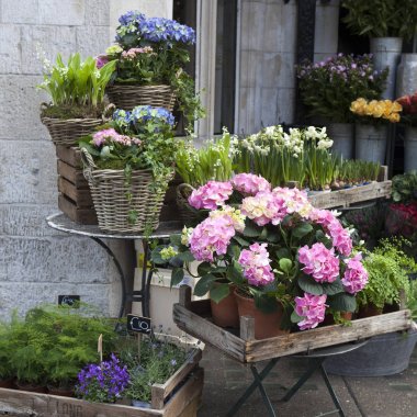 evin girişinde bir pembe ve mavi ortanca, kırmızı aranjmani ve Ivy ile hasır sepetleri süslüyor