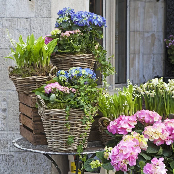 A fonott kosarak, egy rózsaszín és kék Hortenzia, a piros Kalanchoe és a borostyán díszítik a bejárat a ház — Stock Fotó