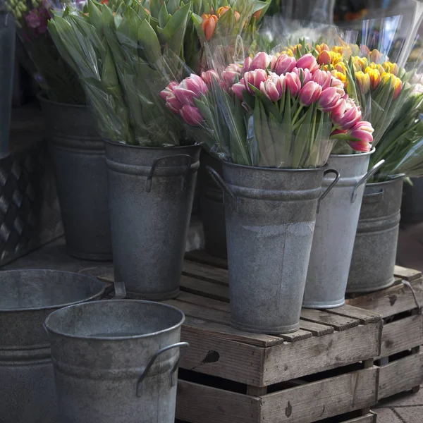 Tapeter med rød og gul tulipan . – stockfoto