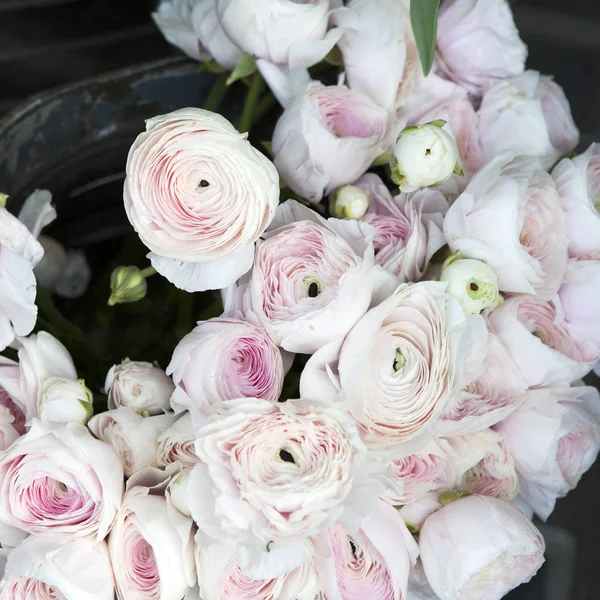 Фон с букетом розовых Ranunculaceae для продажи — стоковое фото