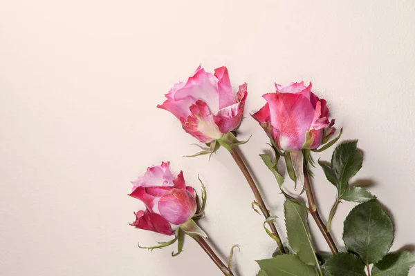 Las Tres rosas rojas sobre el fondo gris —  Fotos de Stock