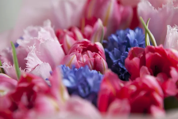 Kytice z bílé a růžové tulipány s modré hyacinty na — Stock fotografie