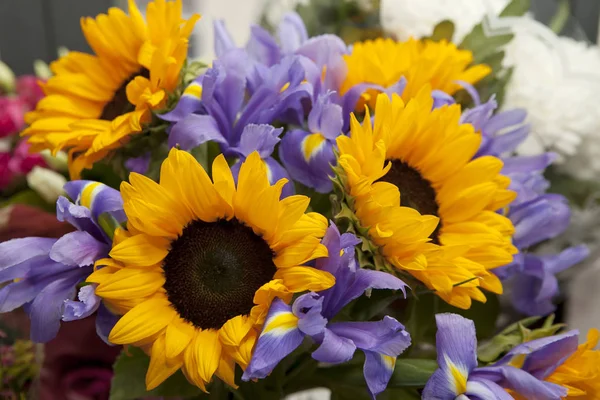 El Ramo de los iris azules y los girasoles para la novia — Foto de Stock