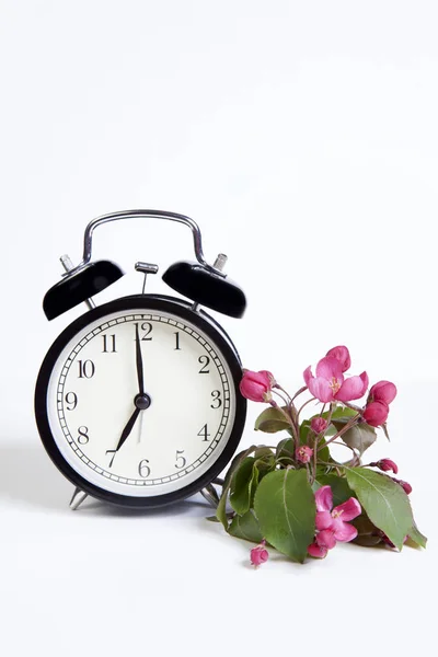 Die Uhr mit den Blumen des Apfelbaumes nedzvetsky (malus niedzwetzkyana dieck) isoliert auf weißem Hintergrund — Stockfoto