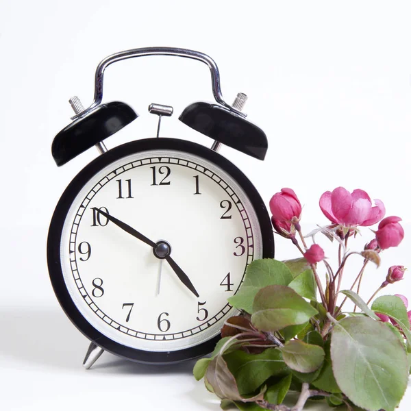 L'Horloge avec les fleurs du pommier de Nedzvetsky (Malus niedzwetzkyana Dieck) isolé sur le fond blanc — Photo