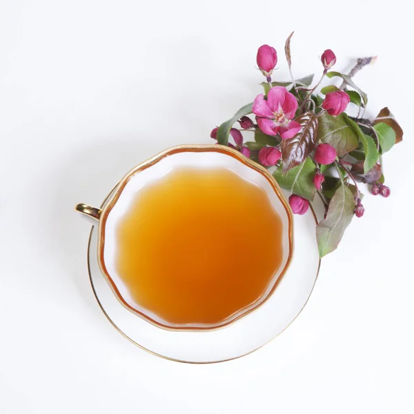 Taza de té con flores de manzana rosa aisladas sobre fondo blanco —  Fotos de Stock