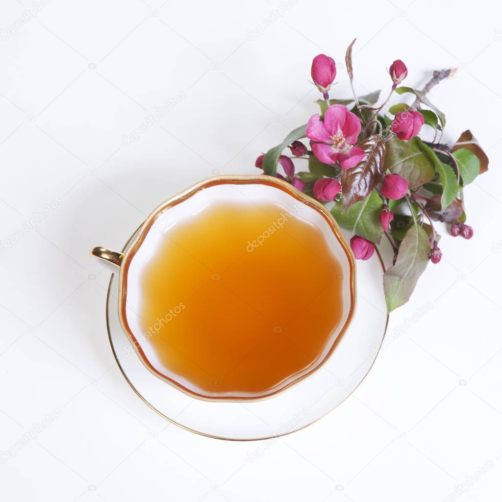 cup of tea with pink apple blossoms isolated on white background