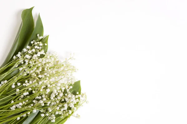 Lilly of the valley flowers and leaves bouquet isolated on a white background. Selective focus — Stock Photo, Image