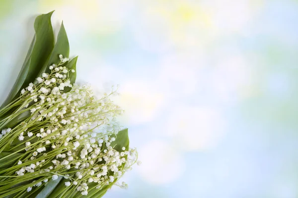 Fresh spring Light, Lilly of the valley flowers and leaves bouquet isolated on on green garden background. — Stock Photo, Image