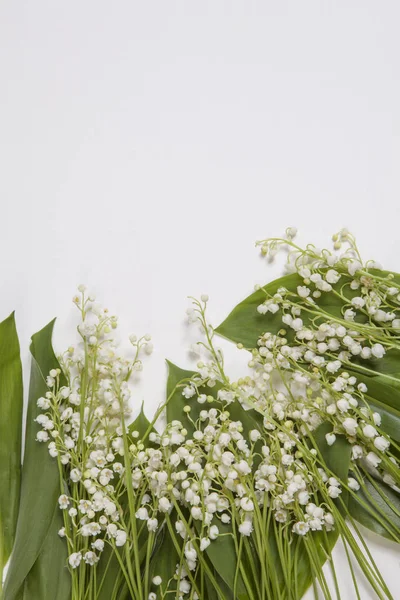 Lilly do vale flores e folhas buquê isolado em um fundo branco. Foco seletivo — Fotografia de Stock